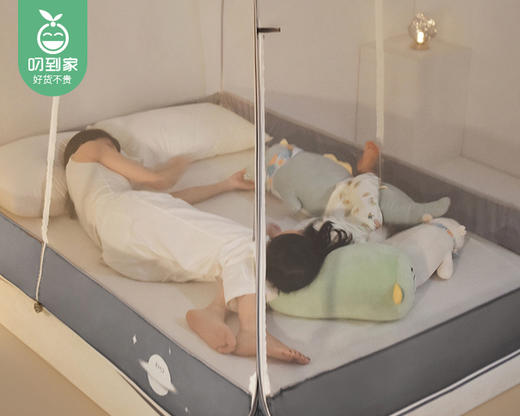 一默MOMO无蚊蚊帐/1件（150*200*165cm）补单专用 商品图4