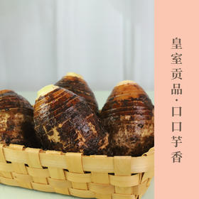 荔浦芋头  皇室贡品  绵软柔滑软糯让您入口停不下来 5斤大果装包邮到家