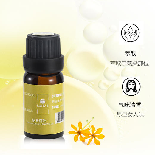 慕她MOTA 依兰精油 10ml 单方精油（湖南仓） 商品图2