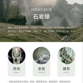 2022 流行色 | 石岩绿