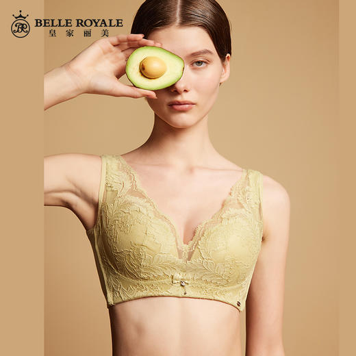 皇家丽美新款健康养肤调整型文胸性感蕾丝女内衣WW095-2 商品图0