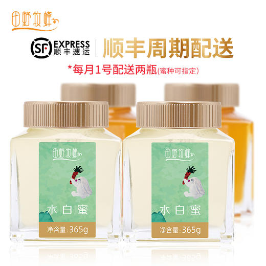 田野牧蜂【年卡】优先畅享小蜜种  金奖品质   24瓶 商品图4
