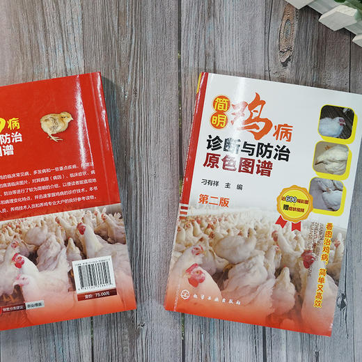 简明鸡病诊断与防氵台原色图谱（第二版） 商品图4