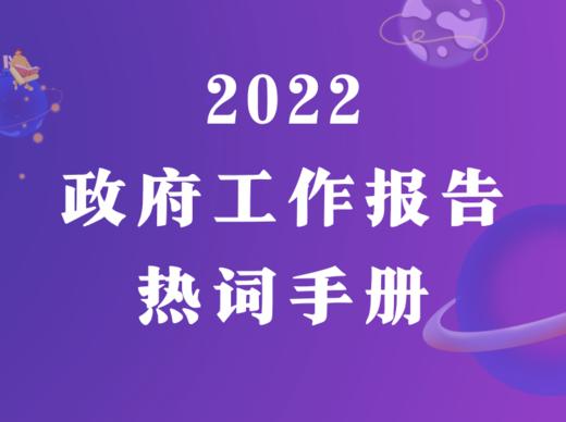 2022政府工作报告热词手册 商品图0