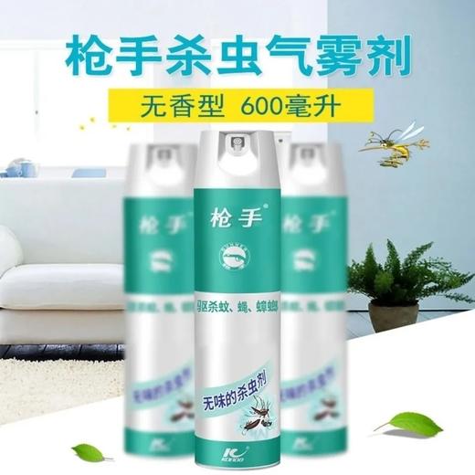 枪手杀芳型杀虫剂兰装600ml 商品图1