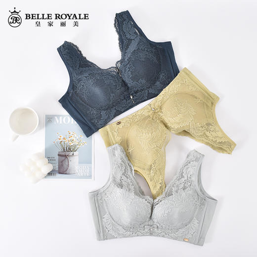 皇家丽美新款健康养肤调整型文胸性感蕾丝女内衣WW095-2 商品图3