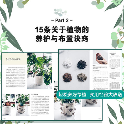 植物风格3 玩转绿植：植物装饰手作指南 商品图2