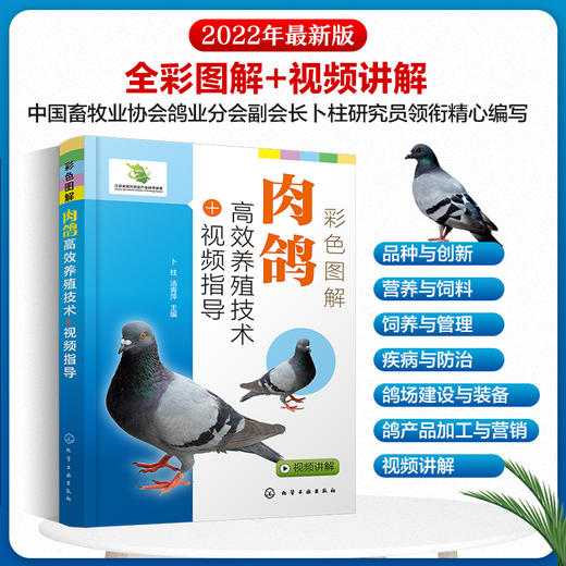 彩色图解肉鸽高效养殖技术+视频指导 商品图0