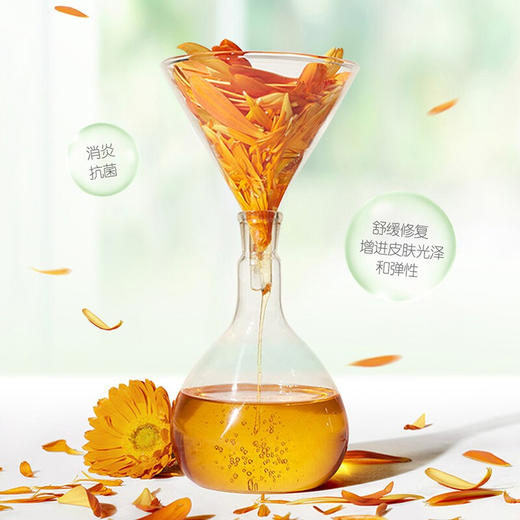 Boiron宝弘止痒膏金盏花30g  ZJ 商品图4