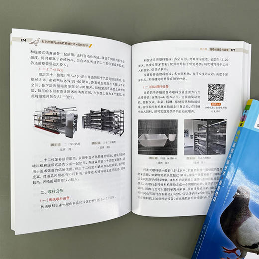 彩色图解肉鸽高效养殖技术+视频指导 商品图9