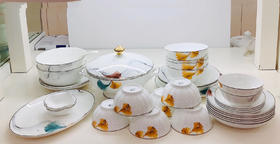 5F隆昌瓷器42头炫彩骨瓷餐具