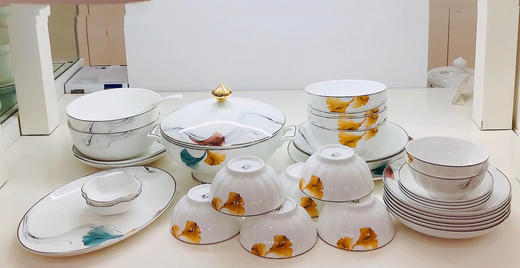 5F隆昌瓷器42头炫彩骨瓷餐具 商品图0