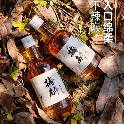 【直播专用】【真青梅真米酒清爽利口】12度微醺好喝不辣喉让食物更美味梅斛青梅酒330ml 商品图0