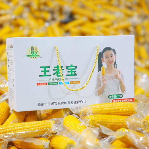 【直播专用】黑糯玉米10棒*200g 商品图7