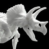 万代1/32 Imaginary Skeleton 恐龙骨架 三角龙 商品缩略图4