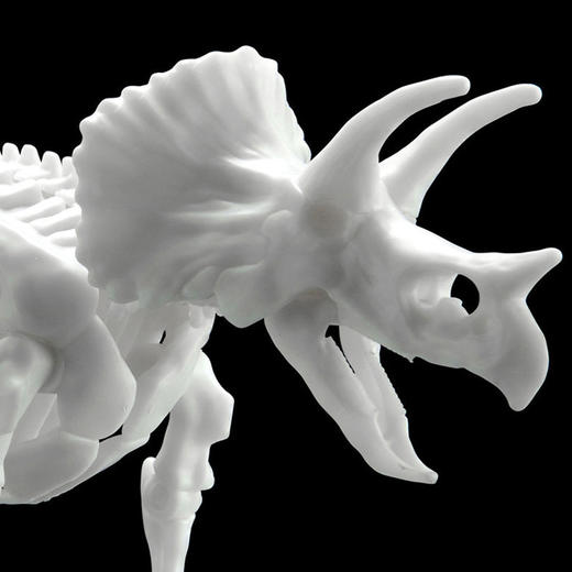 万代1/32 Imaginary Skeleton 恐龙骨架 三角龙 商品图4