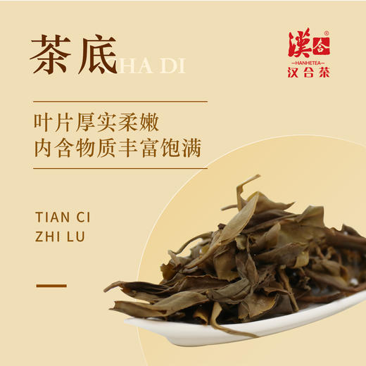 汉合茶 兰亭序 2013 古树普洱 商品图3