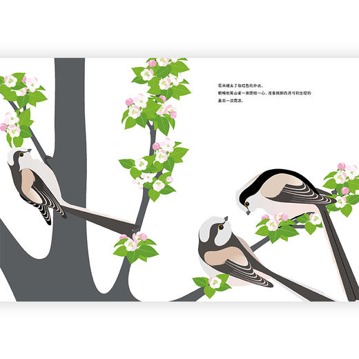 飞过四季的鸟儿  后浪浪花朵朵童书 商品图4