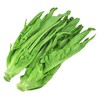 油麦菜480g-520g 商品缩略图0