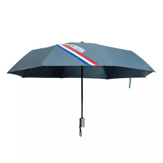 大嘴猴 帕科维奇 自动伞  PFU060 商品图1