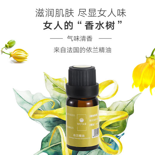 慕她MOTA 依兰精油 10ml 单方精油（湖南仓） 商品图1