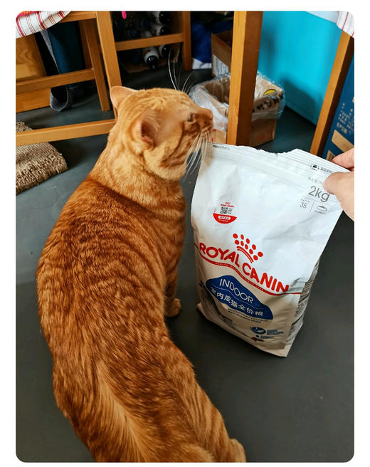 皇家室内成猫全价粮干粮0.4kg成年期去毛球猫粮湿粮（浓汤肉块）85g 商品图2