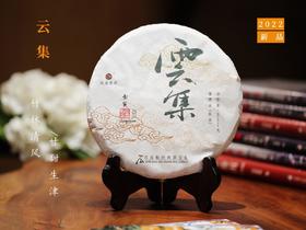 2022年云集生茶 竹林清风 甘甜清凉 古树质感 石昆牧老师定制