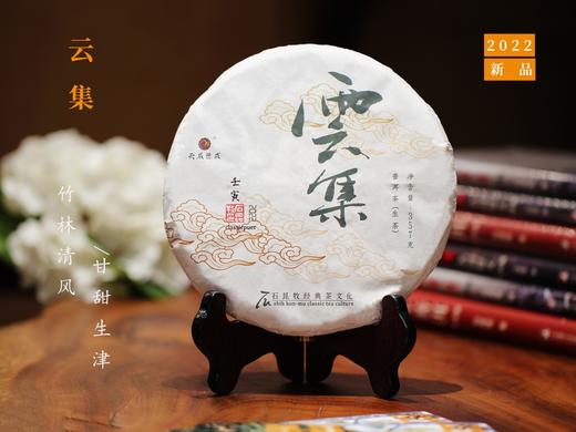 2022年云集生茶 竹林清风 甘甜清凉 古树质感 石昆牧老师定制 商品图0