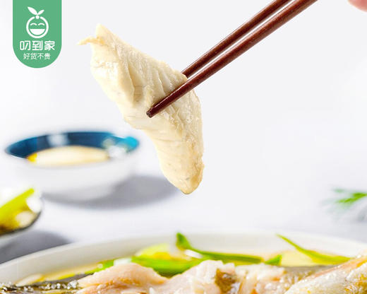 本港活杀围海养殖海鲈鱼/1条（350-400g） 商品图5