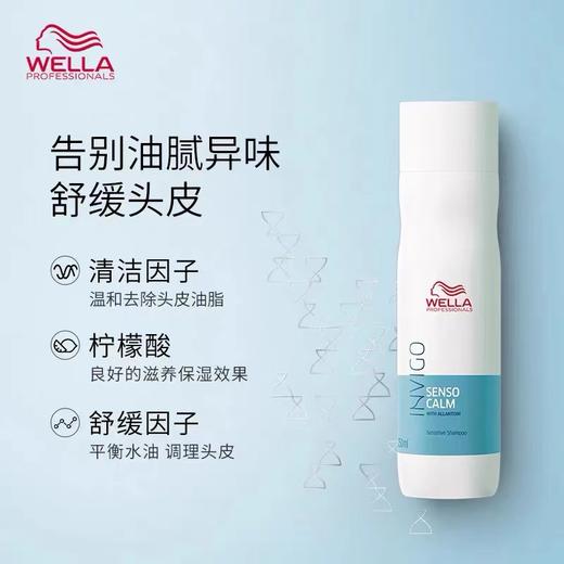 威娜INVIGO飘飘然头皮赋活舒缓平衡滋润头皮控油去油洗发水 商品图4