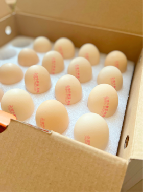 宝宝的安心早餐都吃些什么