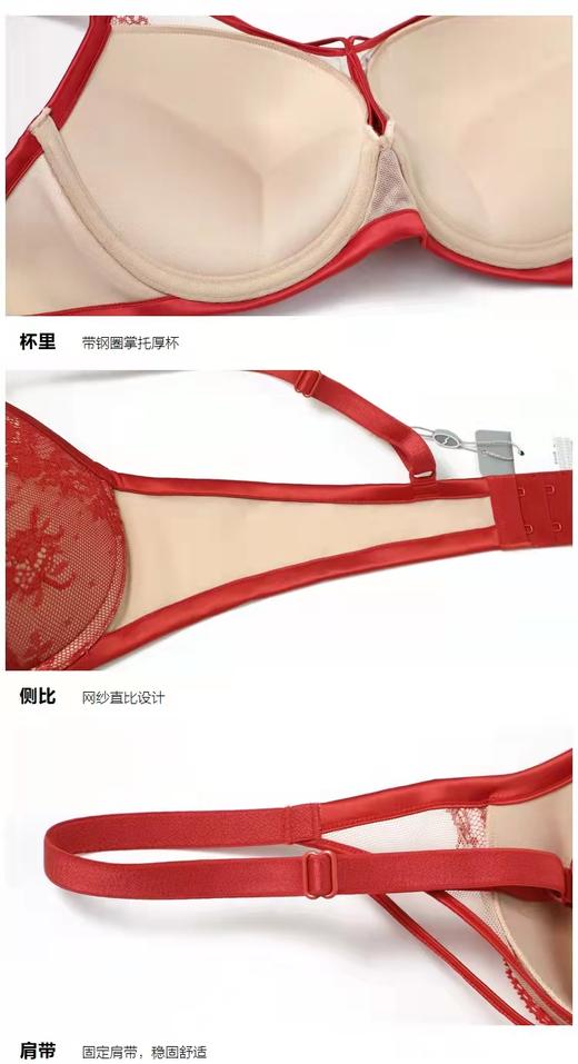 5F Embryform安莉芳 个性标签性感厚杯掌托聚拢蕾丝文胸 商品图5