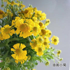 精品花材油画小菊10支