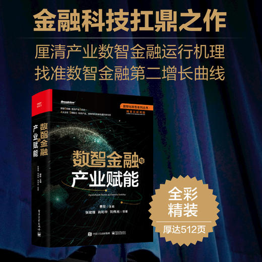 官方正版 数智金融与产业赋能 产业链供应链在数智化大潮中发生的解构和重构 产业数智金融生态 金融服务模式创新书籍 张建锋 商品图1