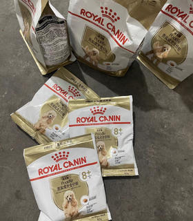 皇家贵宾犬成犬干粮1.5kg贵宾成犬湿粮（慕斯肉泥）85g