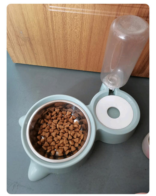 皇家室内成猫全价粮干粮0.4kg成年期去毛球猫粮湿粮（浓汤肉块）85g 商品图1