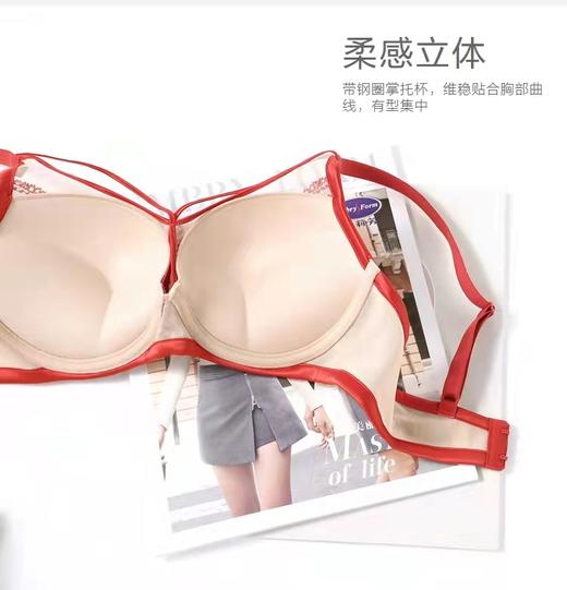 5F Embryform安莉芳 个性标签性感厚杯掌托聚拢蕾丝文胸 商品图2