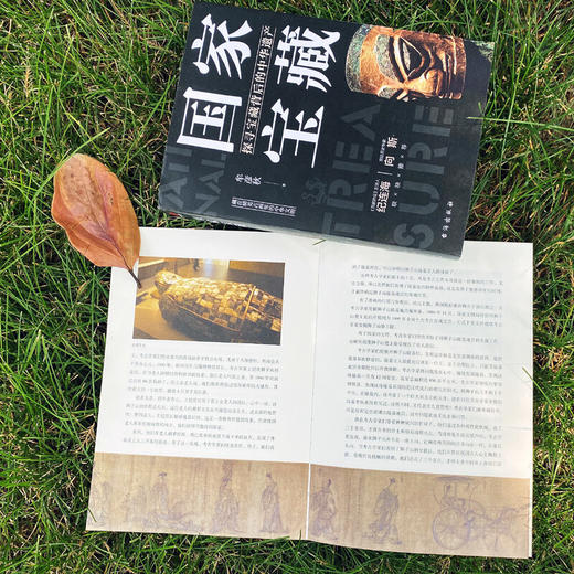 国家宝藏 探寻宝藏背后的中华遗产 牟彦秋 著 历史 商品图1