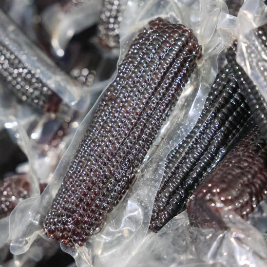 【直播专用】黑糯玉米10棒*200g 商品图9