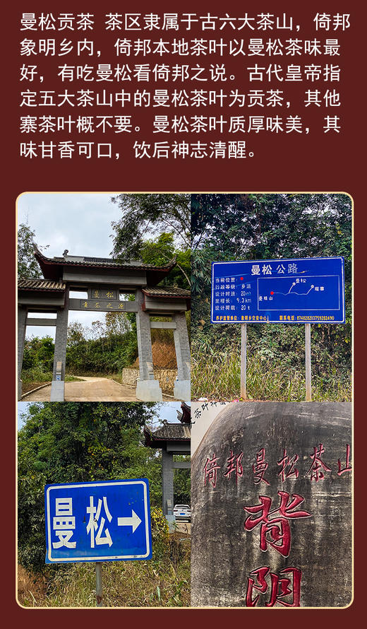 【2022年春茶预售】曼松贡茶古树纯料云南普洱茶饼生茶200g/饼 商品图3