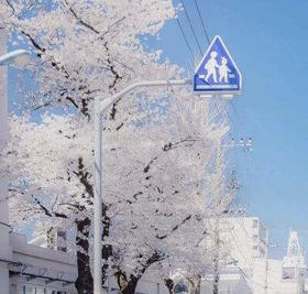 愚者合群，智者同频