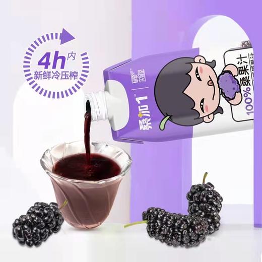 宝桑园100%桑果汁 商品图2