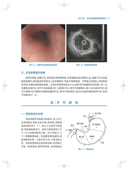 消化内镜护理培训教程 第2版 席惠君 傅增军编 消化系统疾病内窥镜检护理教材内镜清洗消毒 上海科学技术出版社9787547856468 商品图4