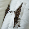 【中文原棉烫画荞麦枕】超柔烫画枕芯原棉酒店蓬松荞麦决明子酒店枕 商品缩略图7
