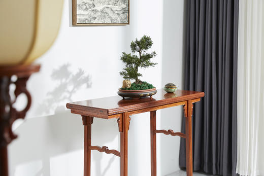 红桥红  家具严选  缅甸花梨（大果紫檀）【98 云熙 平头案】 商品图5