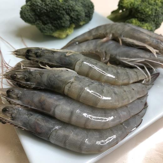 31-40盐田大虾1.2千克 商品图0