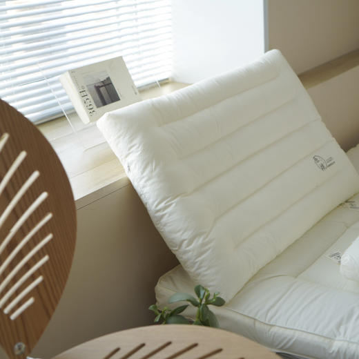 【中文原棉烫画单边低枕】超柔烫画单边枕芯原棉酒店蓬松单边低枕头 商品图1