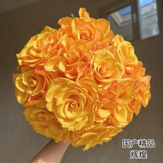 精品花材辉煌玫瑰花10支 商品图0