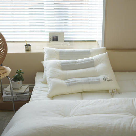【中文原棉烫画荞麦枕】超柔烫画枕芯原棉酒店蓬松荞麦决明子酒店枕 商品图1