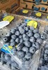 云南 怡颗蓝莓 【1盒】 商品缩略图0